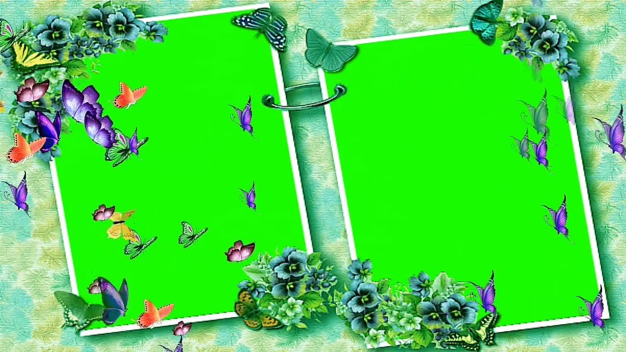 New Dil photo Freme green video 2020/wedding green screen effects HD Video 73