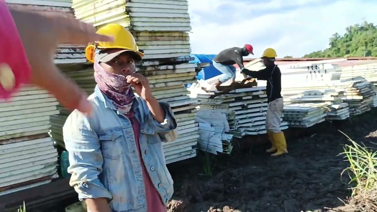Membina Jetty dan menyediakan tapak untuk menyimpan material dan mechinery #highlights 