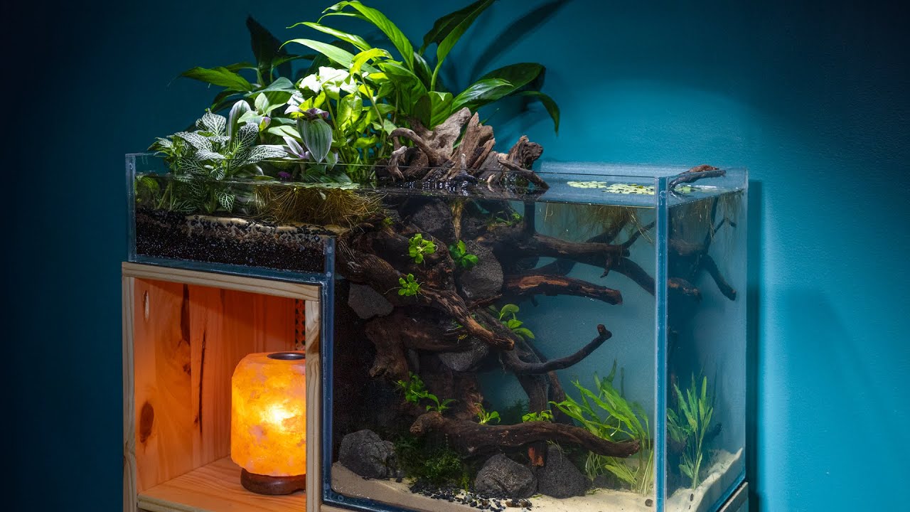 No-Filter DIY Dropoff Bog Nano Fish Tank