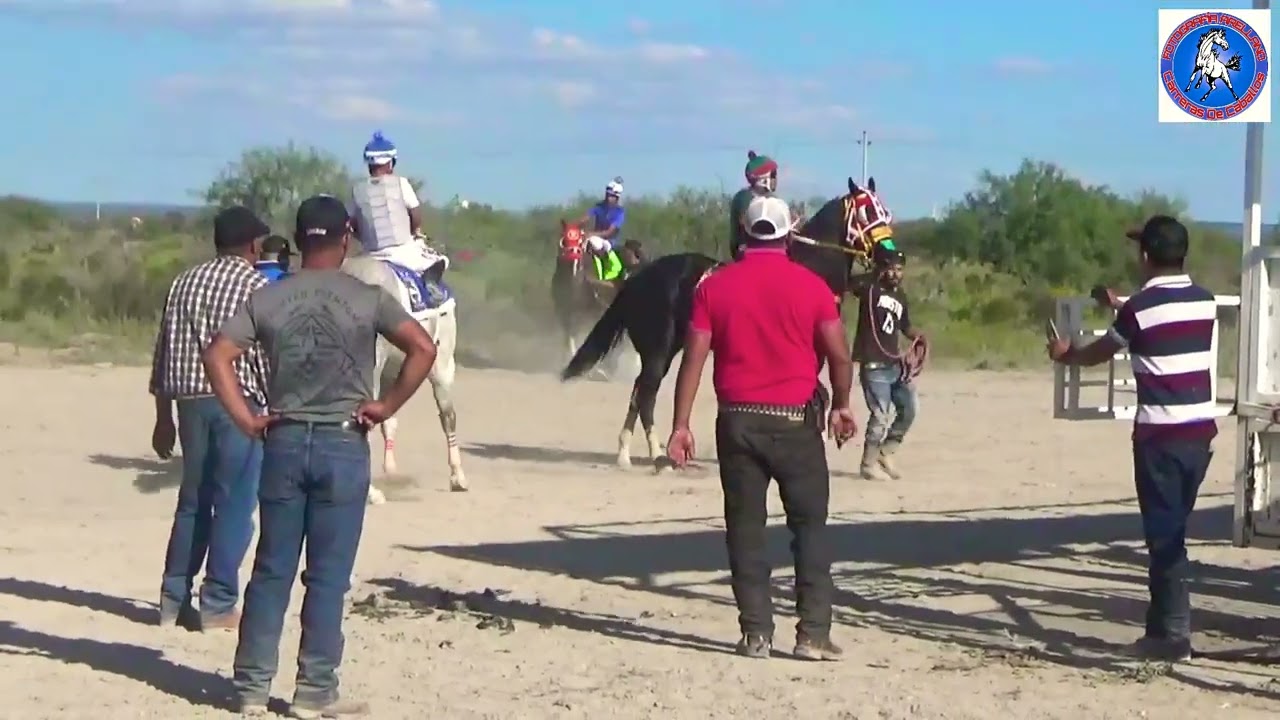 HEREDERO vs TOLENTO vs NEGRO CHOLON