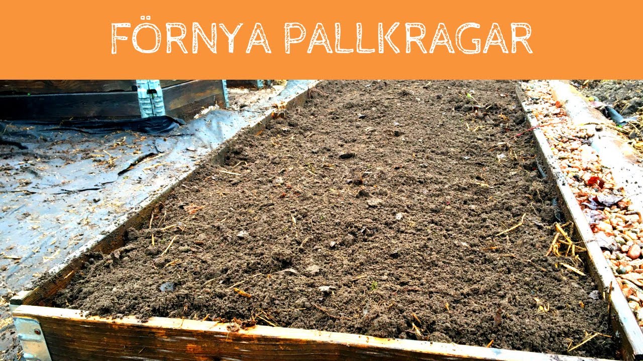Förnya jorden i dina äldre PALLKRAGAR - Två sätt att att använda pallkragar och gödsla upp dem