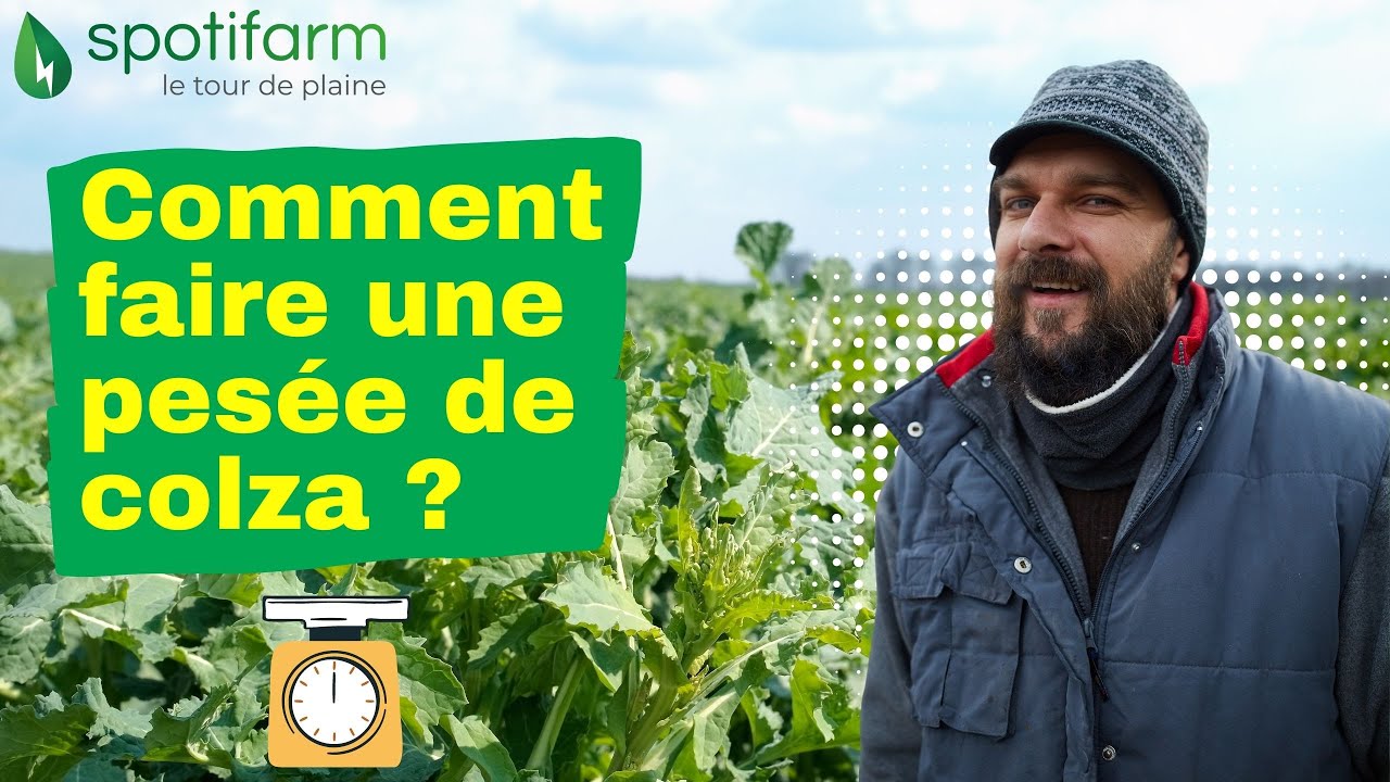 Tutoriel #11 : Pesée de biomasse colza en entrée et sortie hiver