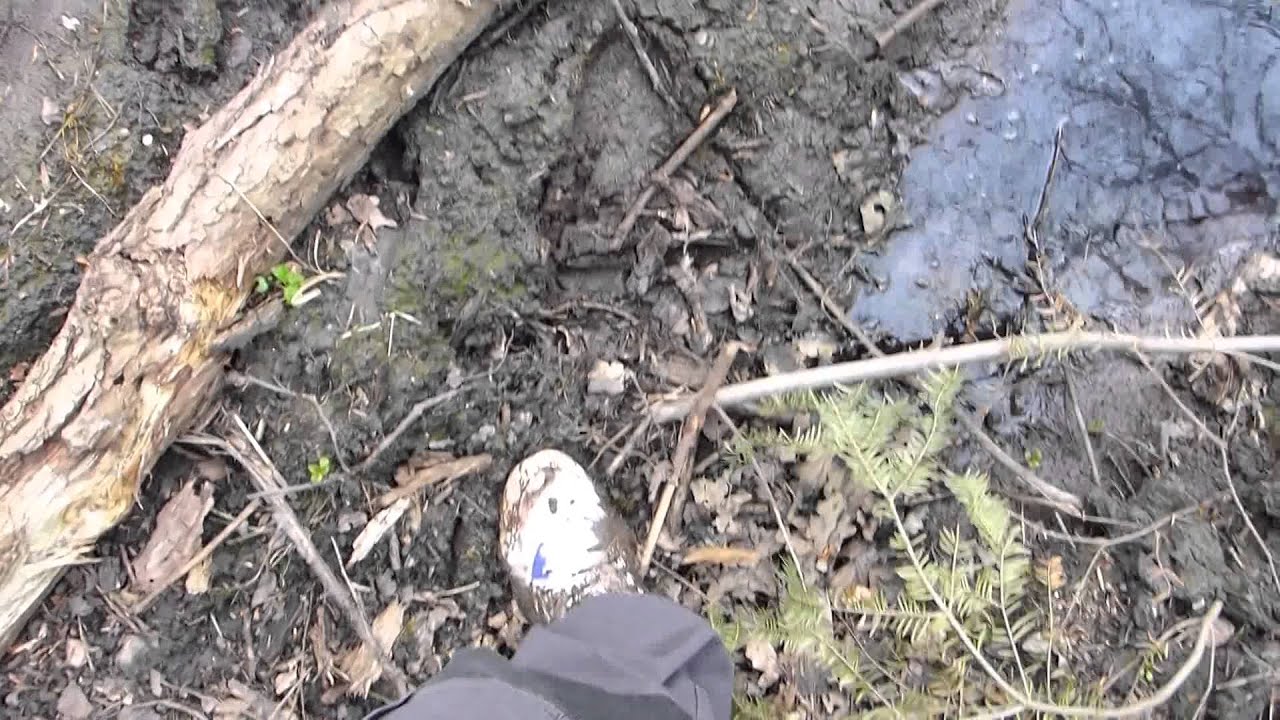 Muddy sneakers