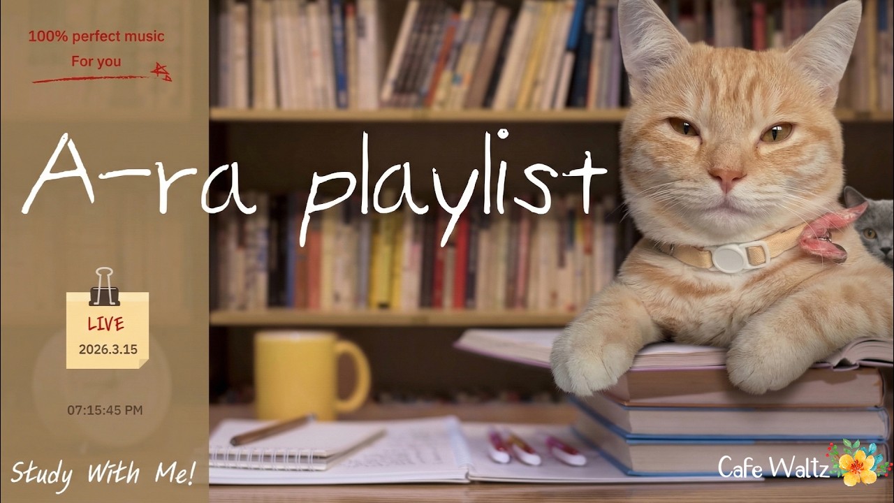[Cafe Playlist] Study with Jazz🌸Waltz? Cafe and Study Music, Jazz&Chill-hop