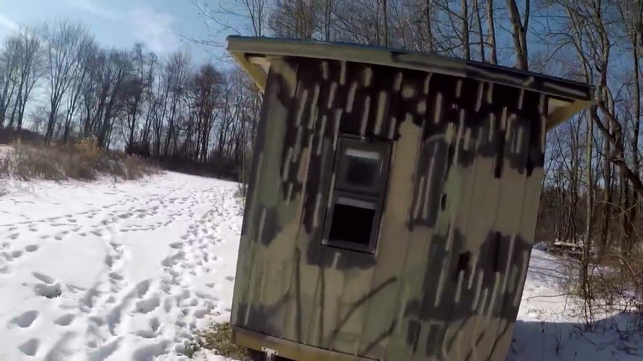 Late Season Pheasant Hunting on a Gorgeous February Day | My Dog May Crushing It!