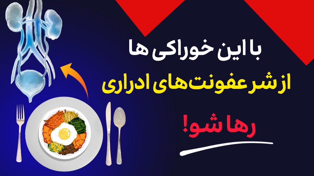 رژیم غذایی موثر در عفونت ادراری: چی بخوریم، چی نخوریم؟
