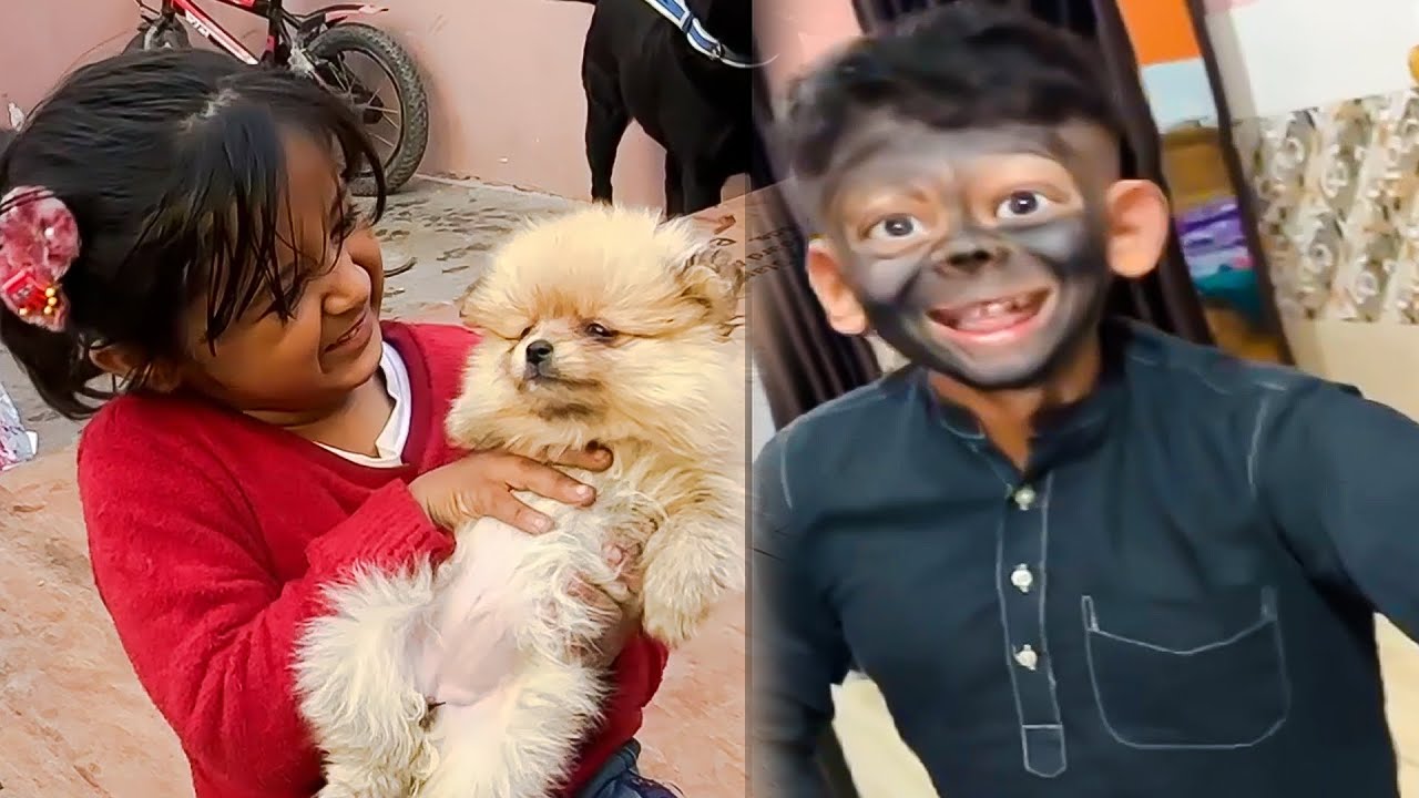TOY DOG DEKH AAYE 😎
