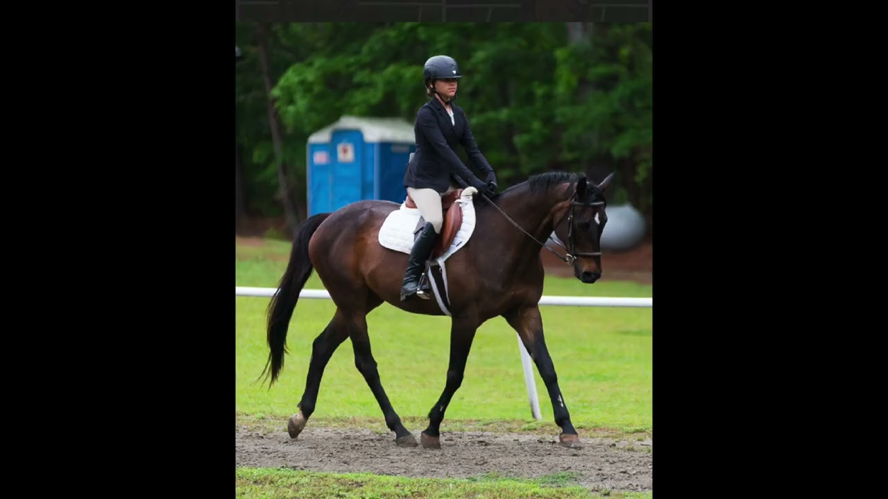Make them carry their saddle