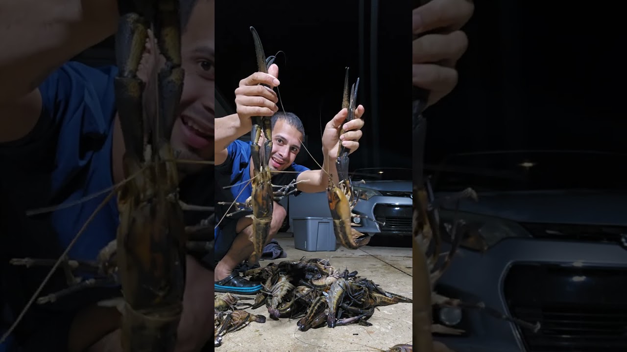 pesca nocturna de camarones  con mi amigo isaac  27 libras💪🔥🇵🇷