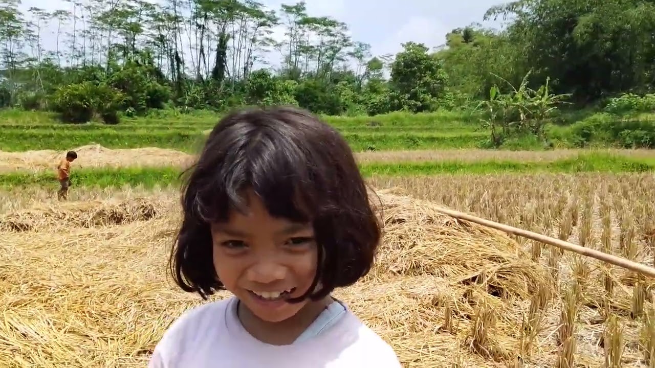 DORA TEH EKPLOLER