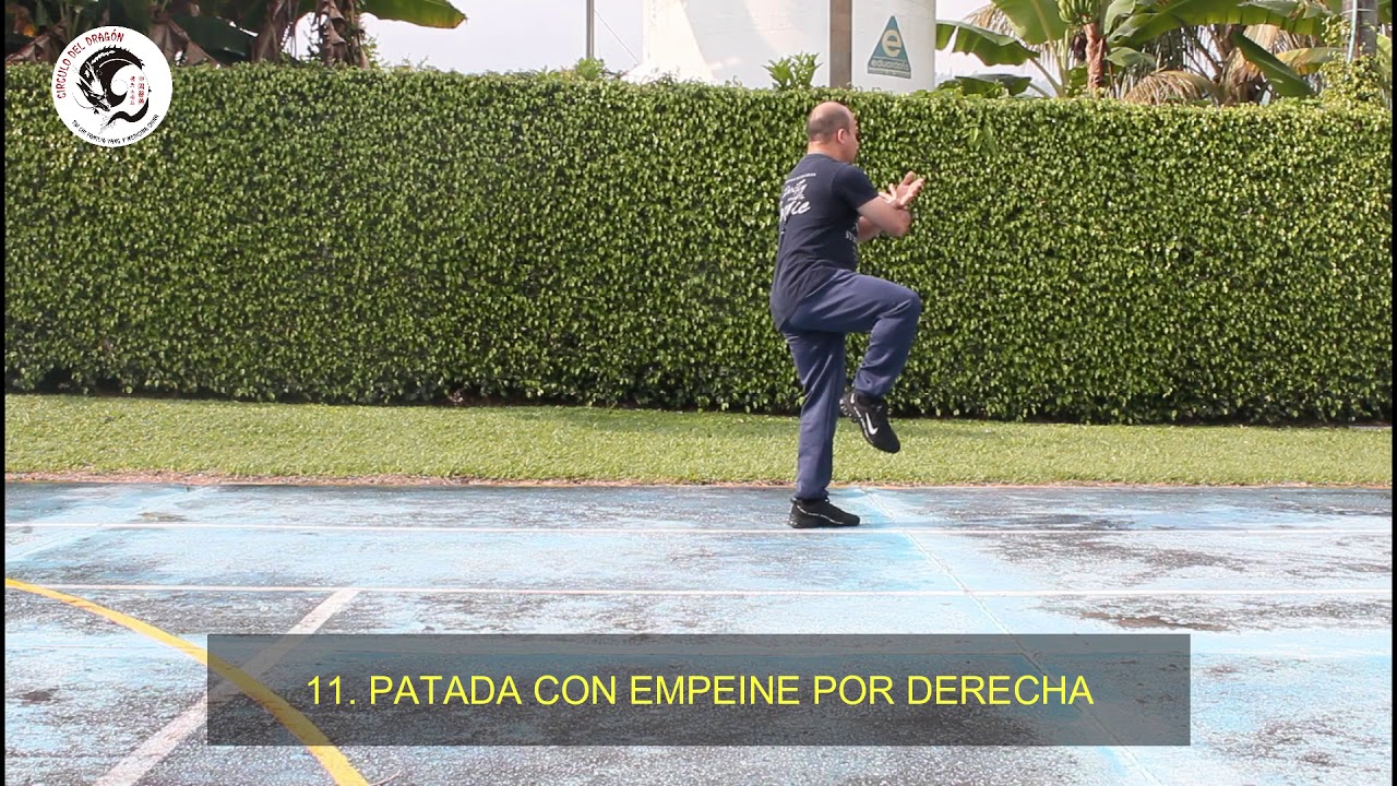YANG TAIJIQUAN 26 SENIOR FORM