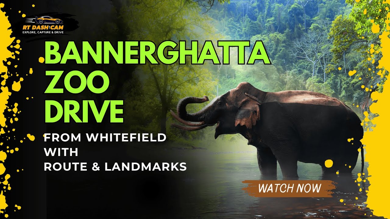 Whitefield to Bannerghatta Zoo Drive 🚗 | Route, Landmarks & Entry Guide | RT Dashcam