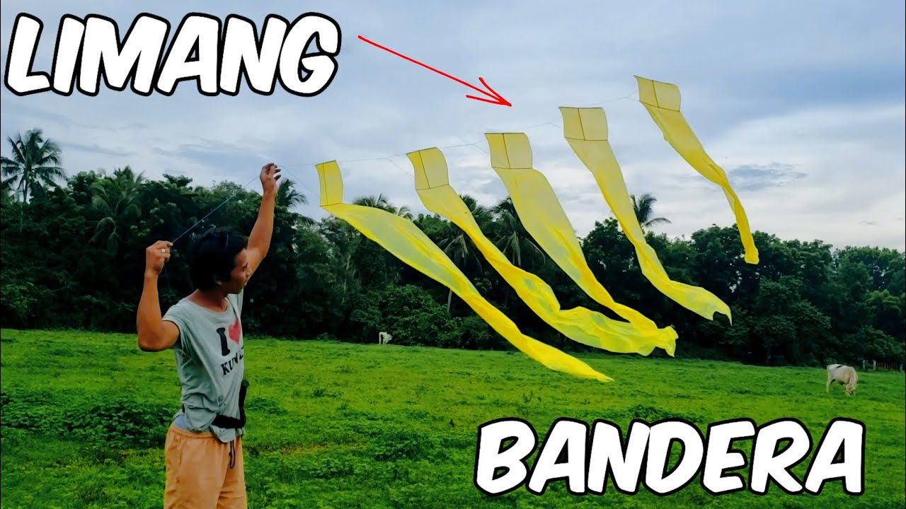 GUSTO MO BA MATUTO GUMAWA NG SARANGGOLA TUTURUAN KO KAYO.