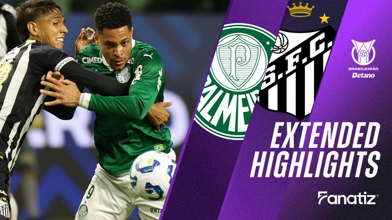 Palmeiras vs. Santos 2-0 I Game Highlights I Brasileirão 2025
