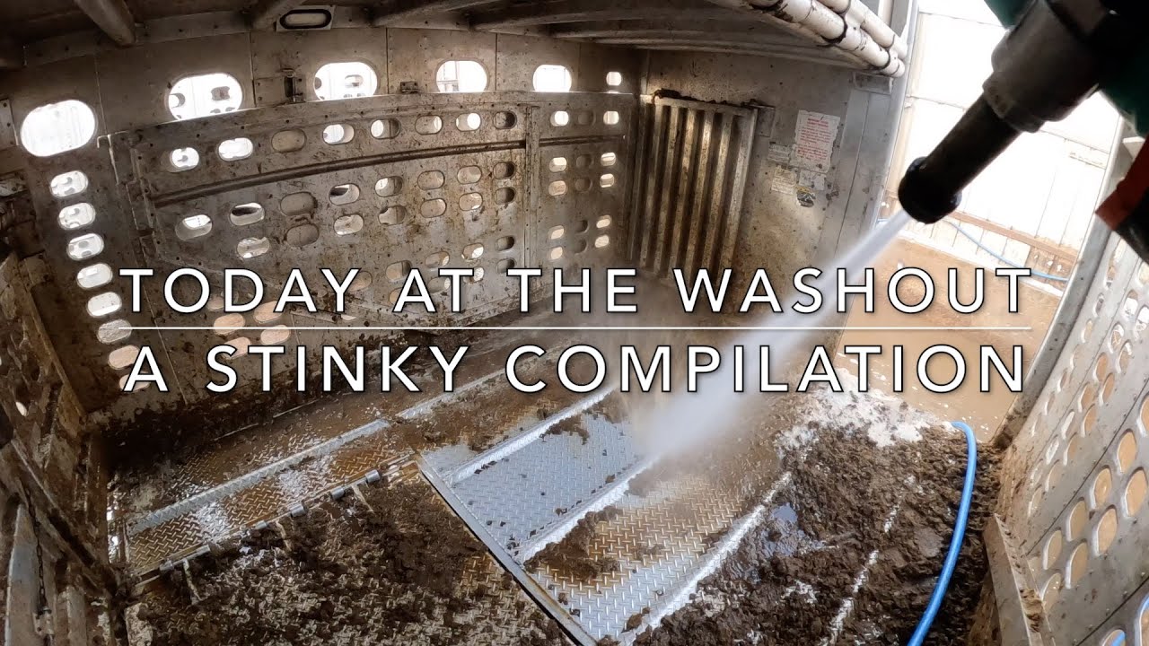 A stinky compilation! (Cattle Washout ASMR Ep. 20)