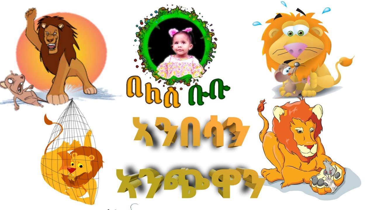 ኣንበሳን ኣንጭዋን 8 October 2021