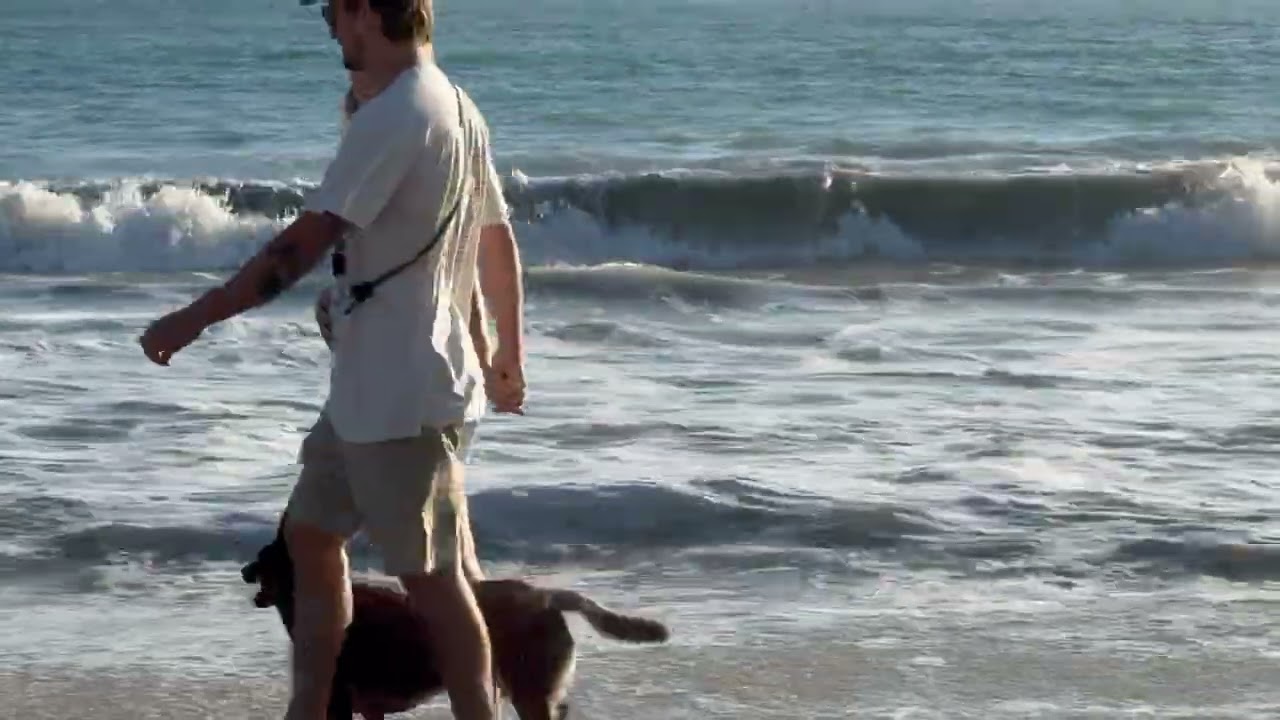 5 Minute Beach Break  ~ Doheny State Beach