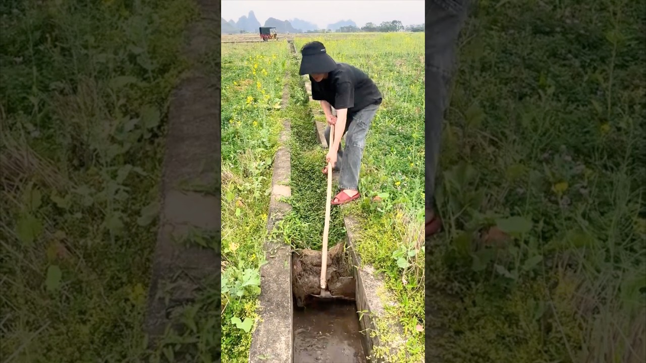 Irrigation Canal Cleaning Process #farmingtech