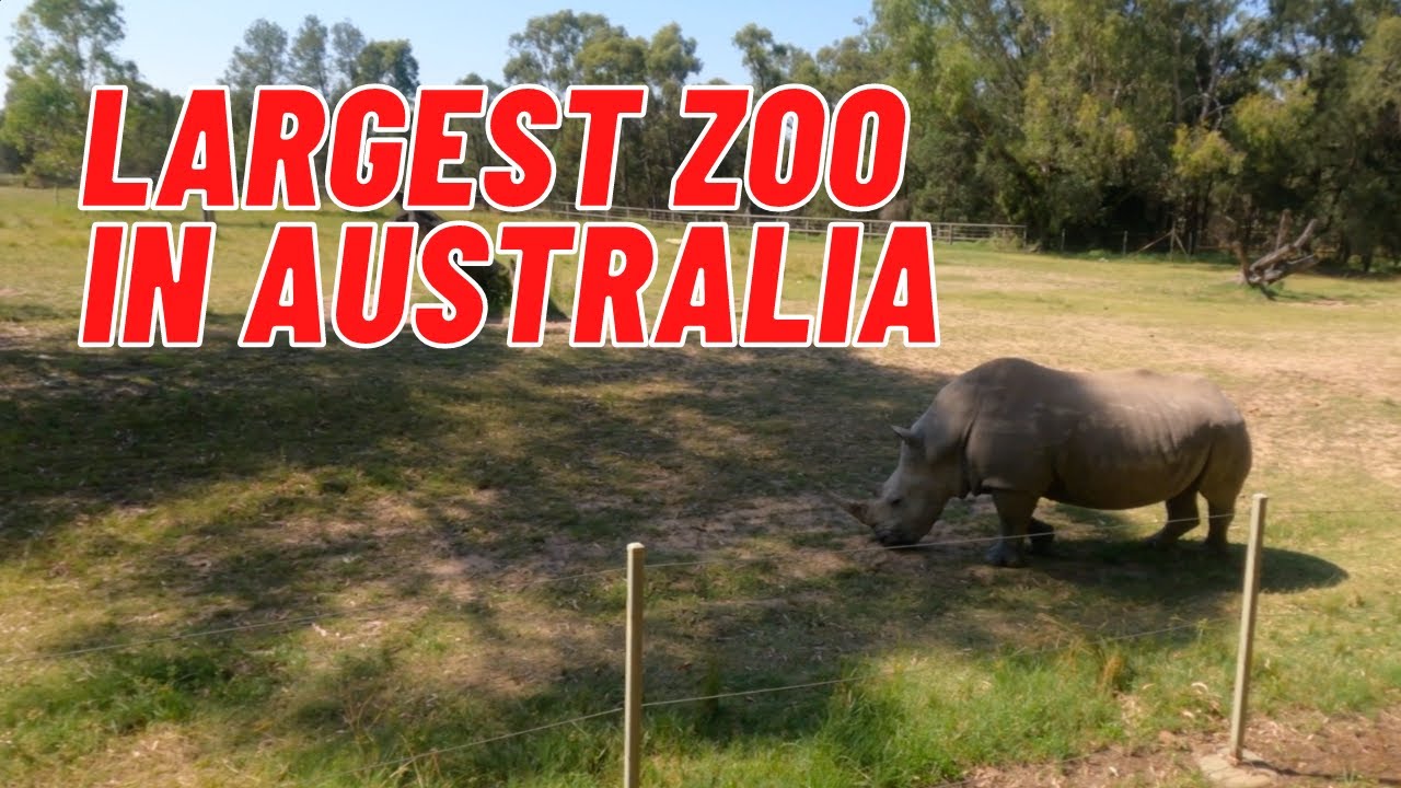 Largest Zoo in Australia | Taronga Zoo Dubbo | Family Vlog