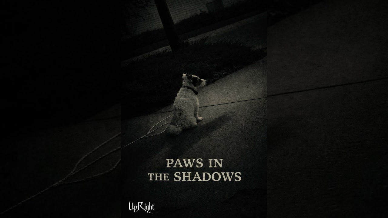 Paws in the Shadows