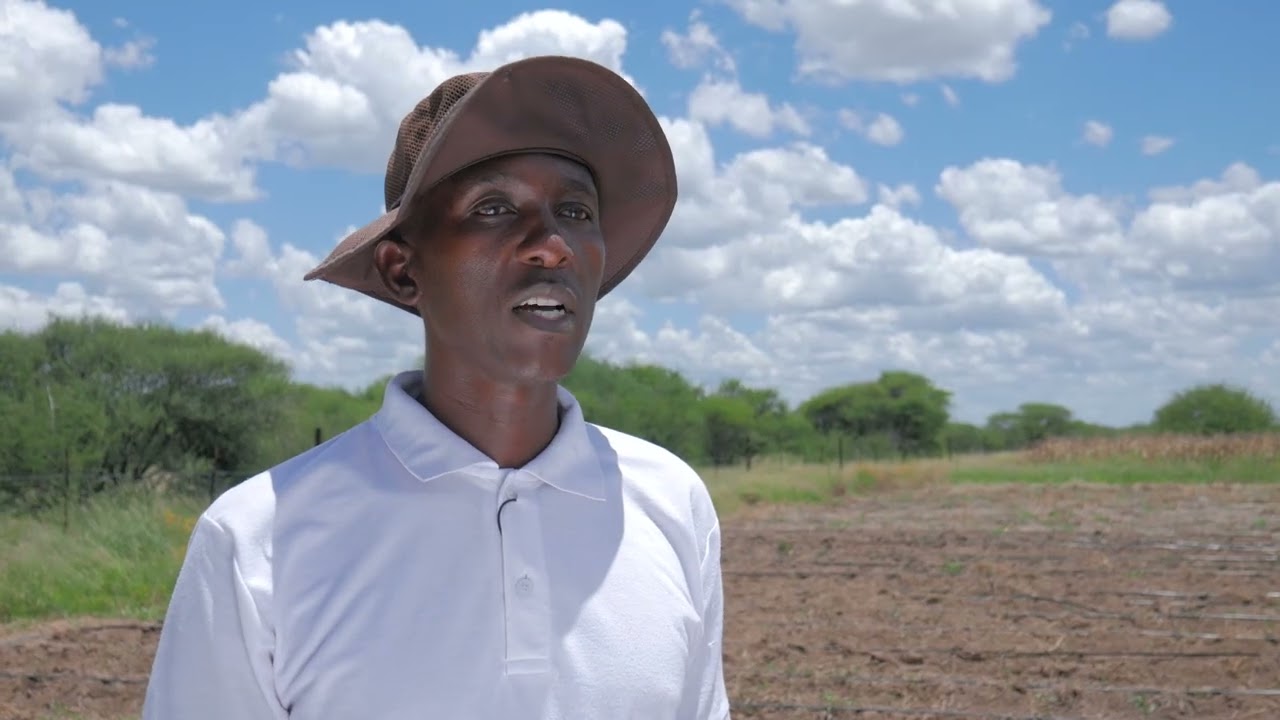 TOMATOE Farming in Botswana 2023 | Farmers voice Episode 28