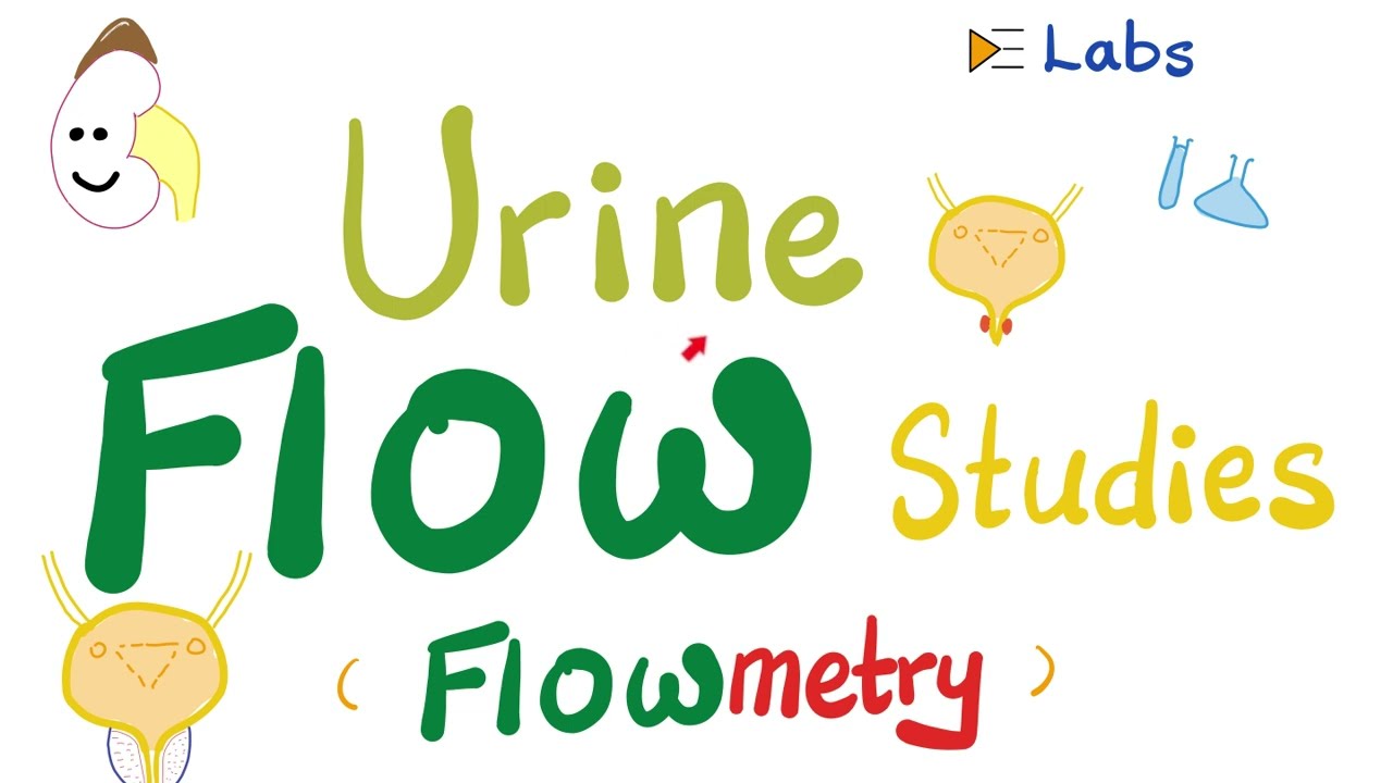 Urinary Incontinence & Urine retention - Urine flow studies (Flowmetry) - Urodynamic Studies-Urology