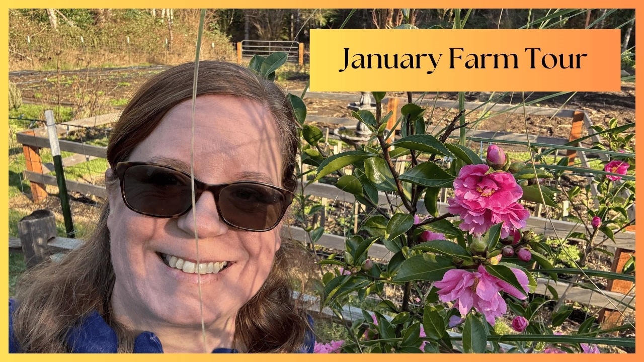 January Tour of Our PNW Flow Farm 🌸❄️ Camellias, Hellebores and a couple of surprises