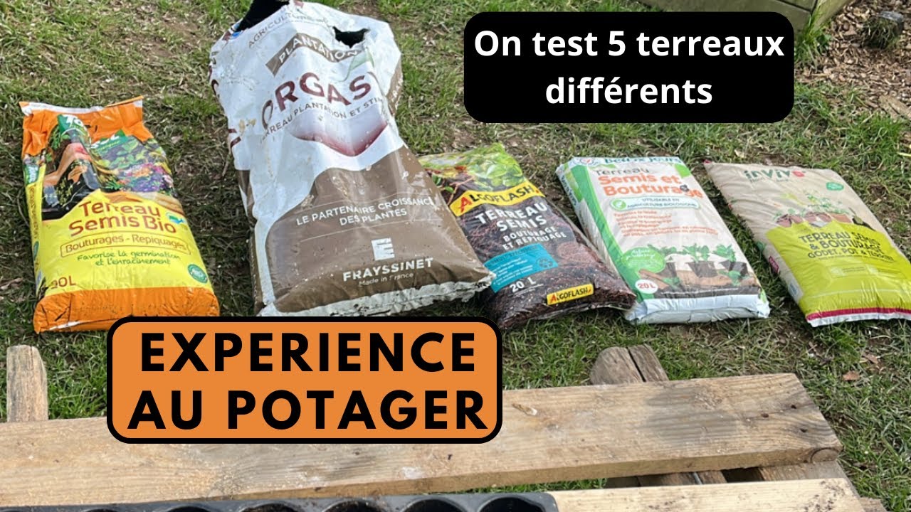 Exp&eacute;rience terreau &agrave; semis