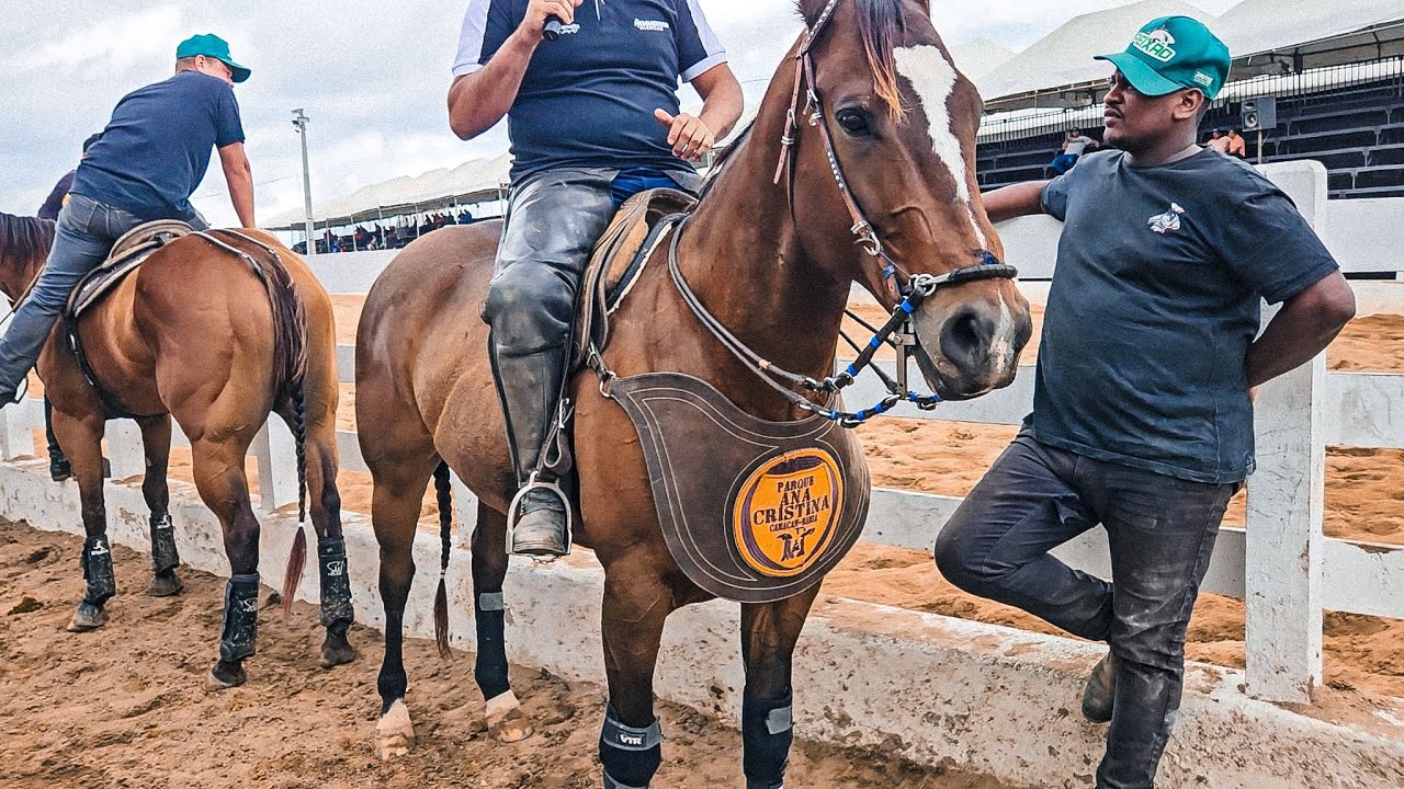 VAQUEIROS PROFISSIONAIS NA VAQUEJADA DO PARQUE FERNANDO LUCENA EM CARUARU PE