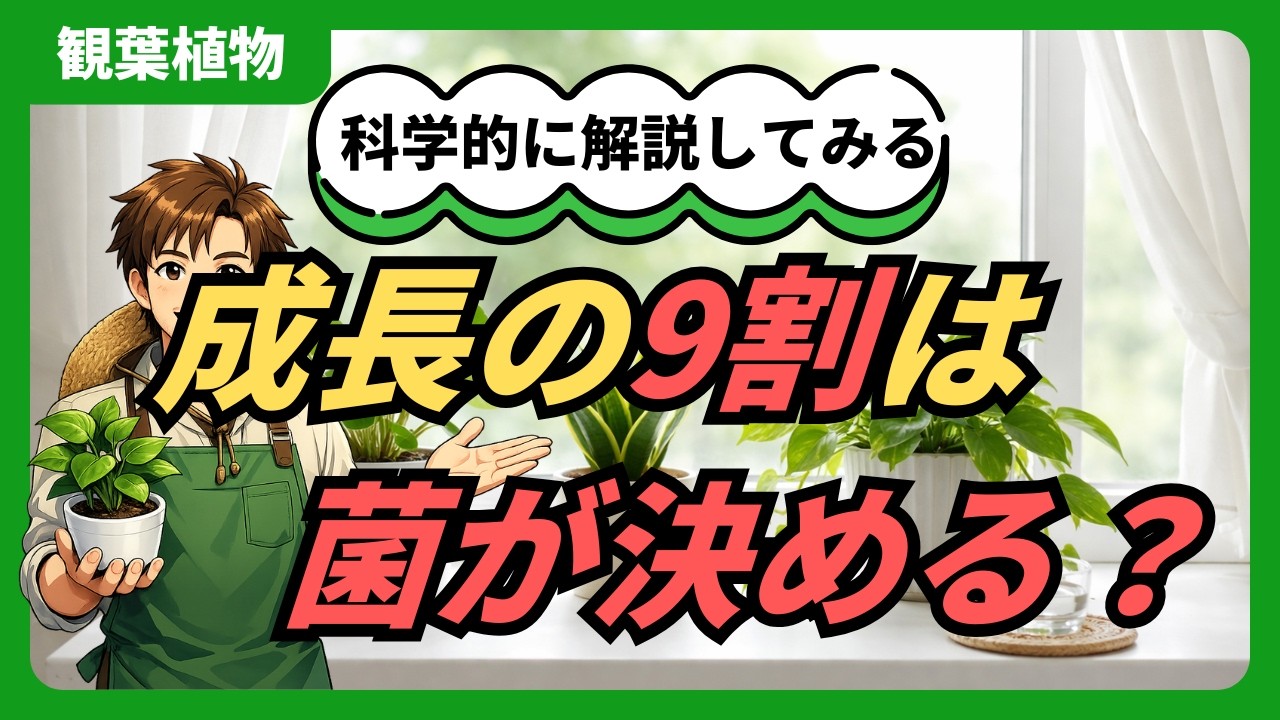 【植物の秘密】9割が菌のおかげ？根っこで起きる驚きの共生 #植物 #ガーデニング #菌根菌 #家庭菜園 #雑学