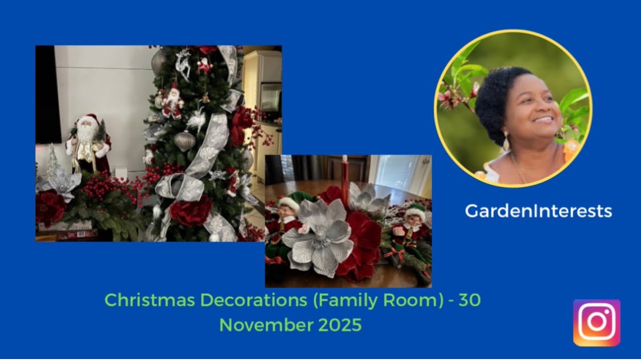 Christmas Decorations (Family Room) - 30 November 2025