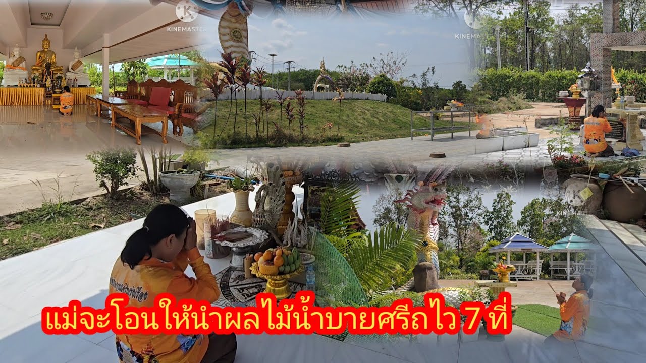 งานใหญ่ไหว้ 7 ที่​ที่ลานองค์พ่อปู่​ถึงกับขนลุก​#ย่าอชิกกกอก 