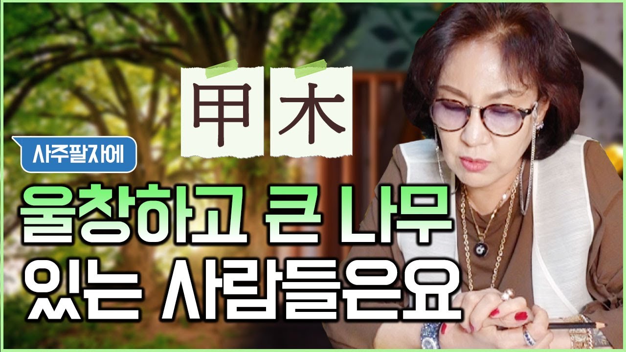398화_오랜만에 돌아온 사주풀이!! | 사주에 큰 나무가 있다면? 🟣 꼭 이 분야를 추천합니다! 🟣 (feat. 작은 나무)