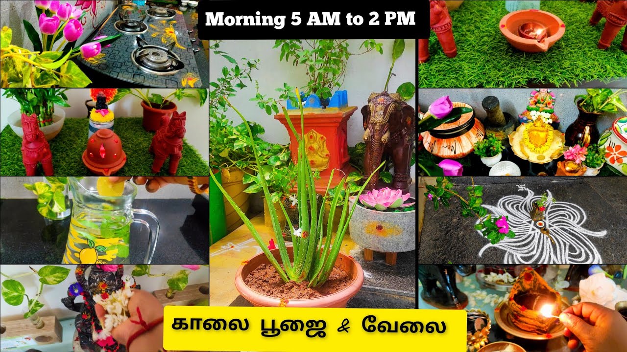 🛖கண் திருஷ்டி, தோஷங்கள் நீங்க இதை வீட்டில் வையுங்கள் | Early morning 5AM to 2 PM routine vlog tamil