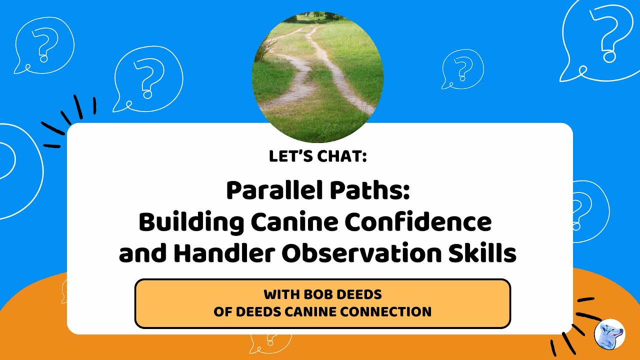 Parallel Paths: Building Canine Confidence and Handler Observation Skills