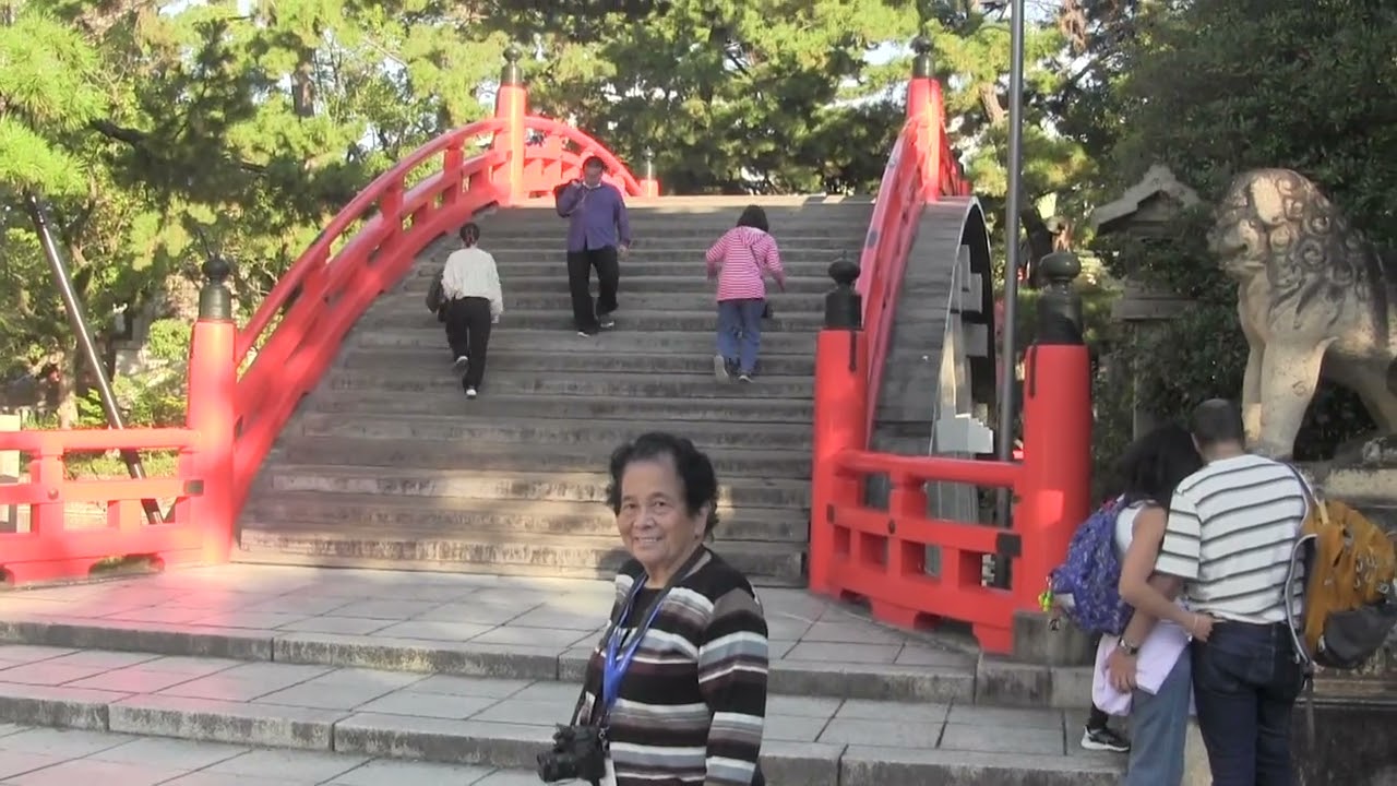 Norwegian Sun Cruise Day 3 to 5 to Nagoya and Osaka Japan on November 5 to 7, 2025