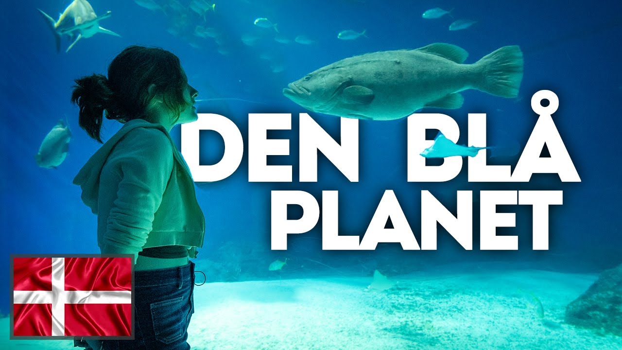 Den Blå Planet - National Aquarium of Denmark in Copenhagen