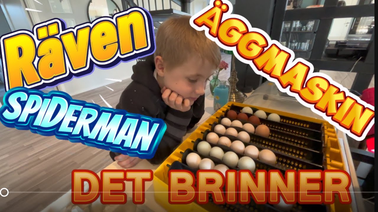 Klättring, Räven, Äggmaskin samt så ser det ut att brinna.