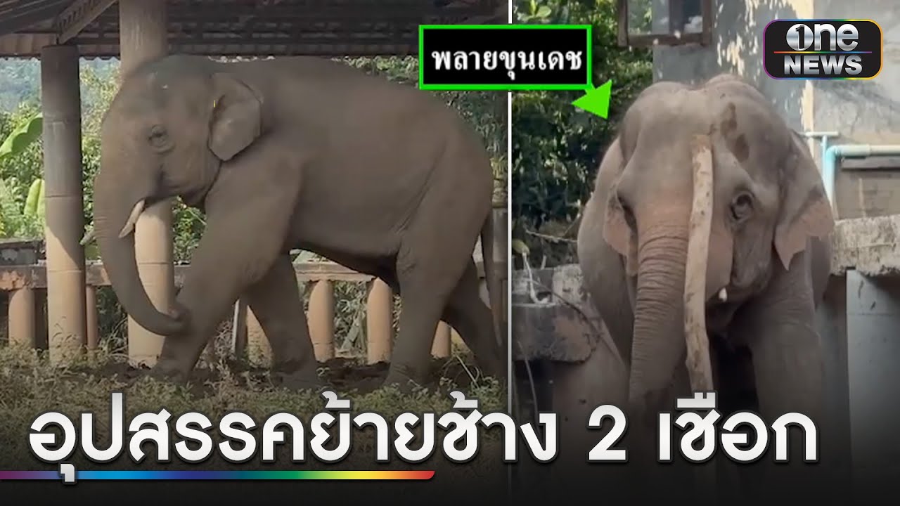 จบดรามา! เตรียมย้าย 