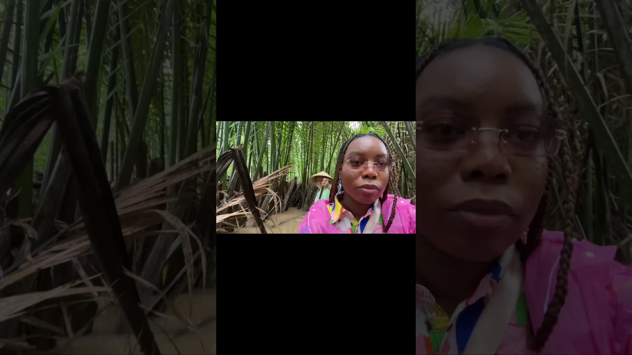 I went to Vietnam as a black woman and it was&hellip;