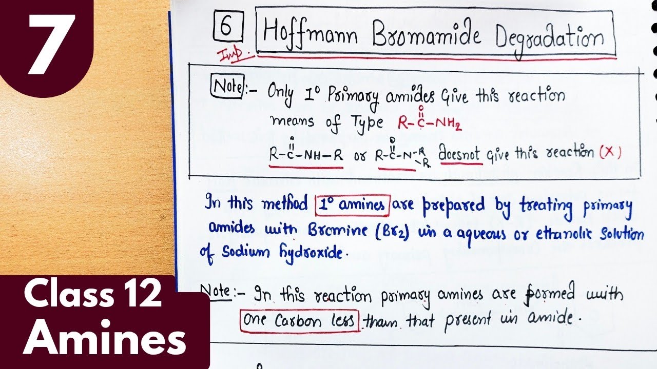 7) Hoffmann bromamide Degradation| preparation of Amines from amides| Amines Class12 Chemistry