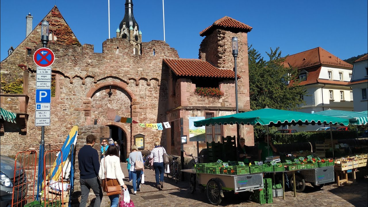 Farmer's Market Tiefburg,  Handschuhsheim, Heidelberg, Germany