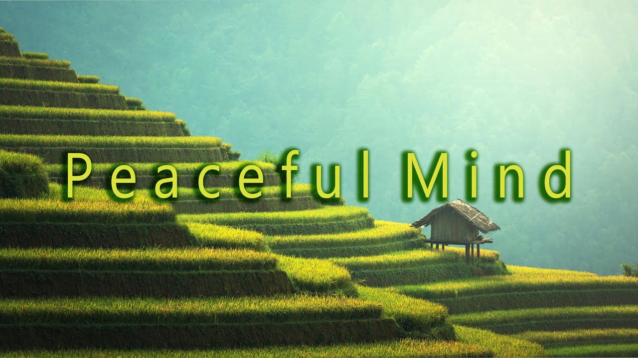 Deep Calm  Instrumental | Relax, Focus, Sleep & Meditate #relaxing  #ambientmusic