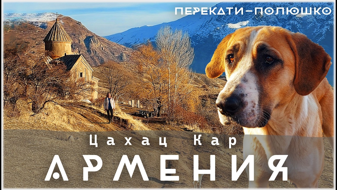 ЗАБРОШЕННЫЙ, НО НЕ ЗАБЫТЫЙ  Средневековый храм и пушистый проводник. Армения.4K
