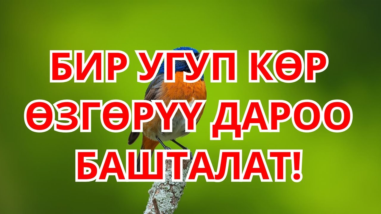 БАКЫТКА ЖОЛ АЧКАН ДУБА! 🗝️ 1 ГАНА ЖОЛУ УГУП КӨР