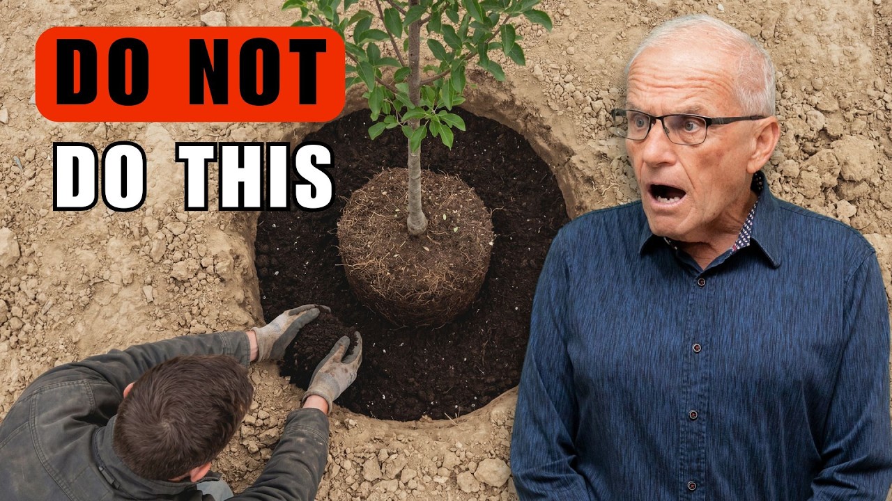 10 Landscaping Myths You Still Believe (Stop Doing These!)