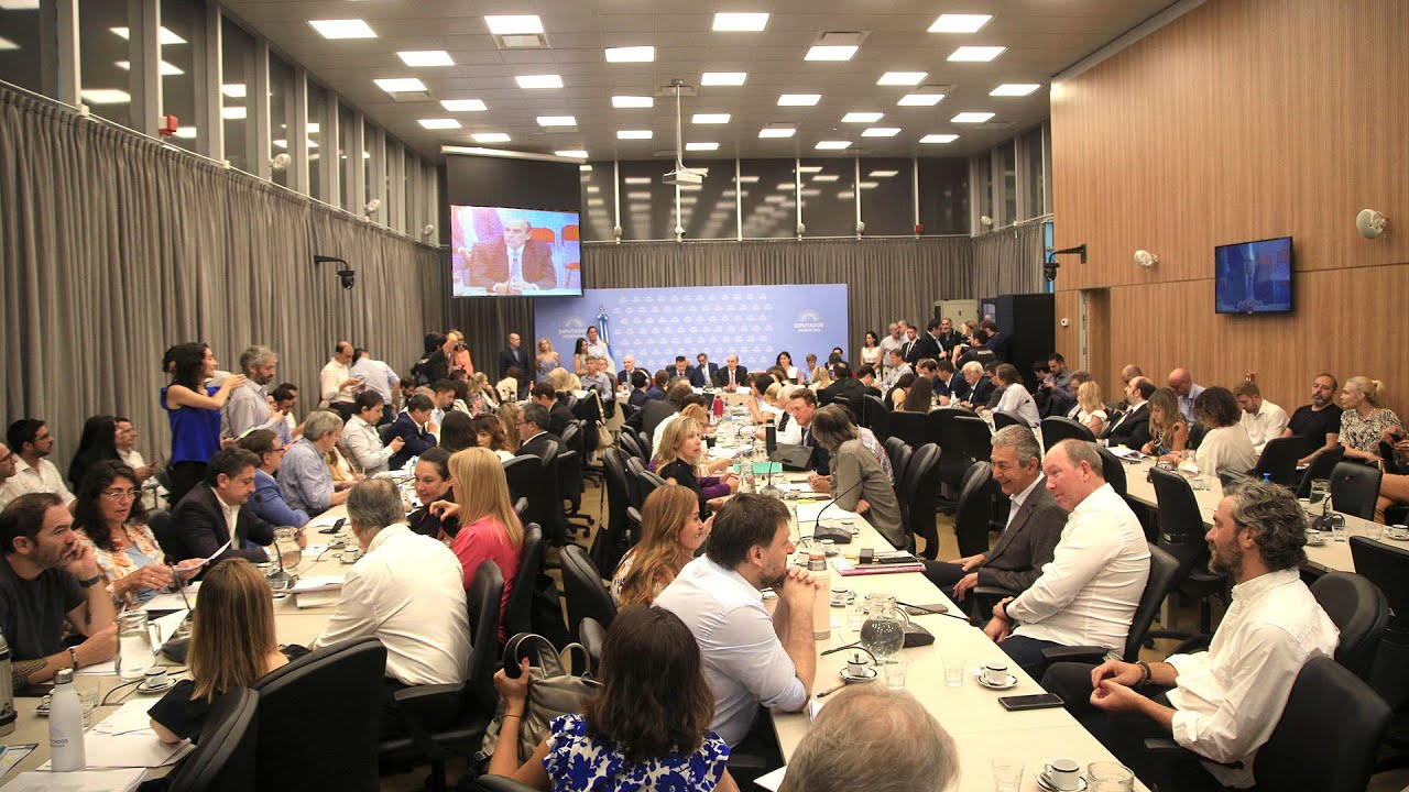 Reunión en Comisión: Diputados comienza la discusión por la privatización de Aerolíneas Argentinas