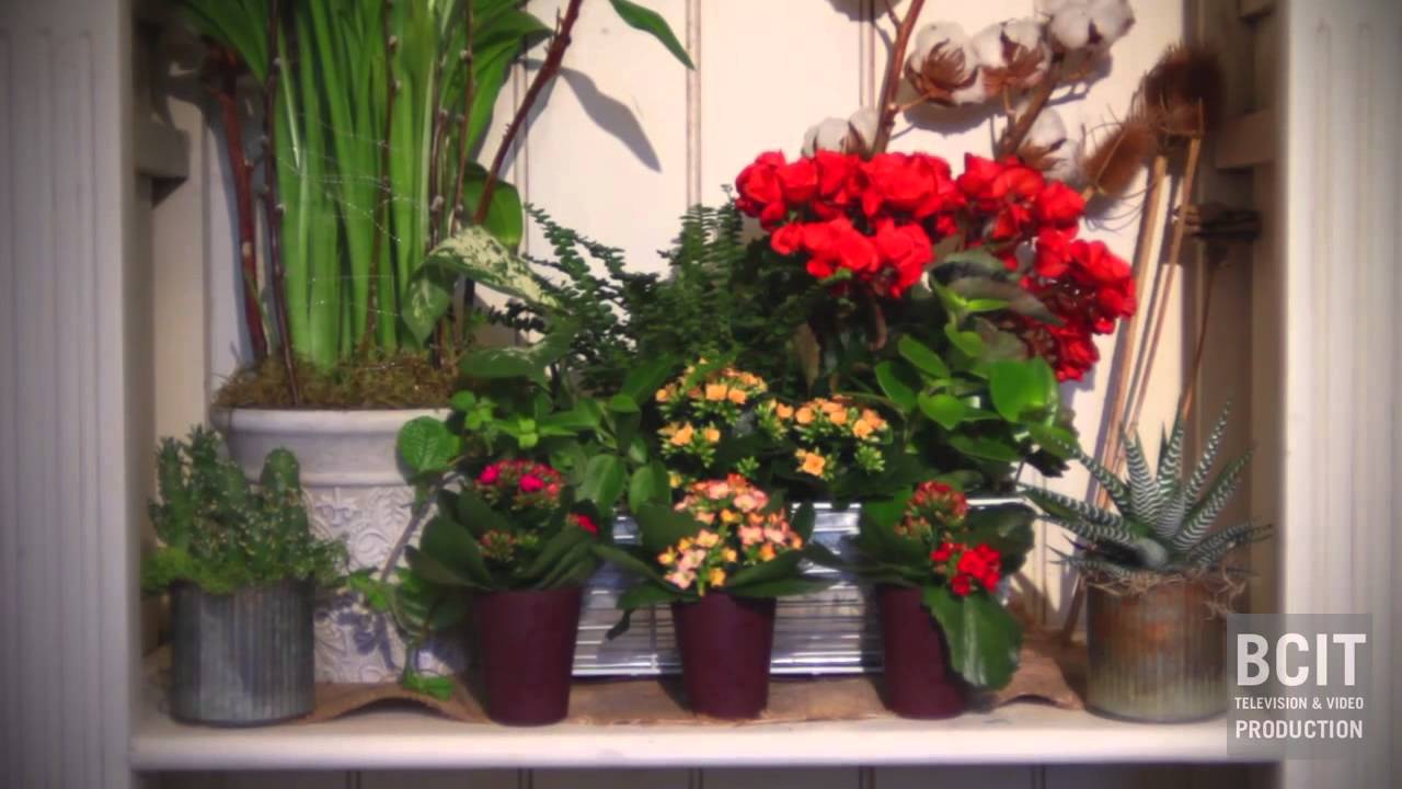 Floralista Flower Studio