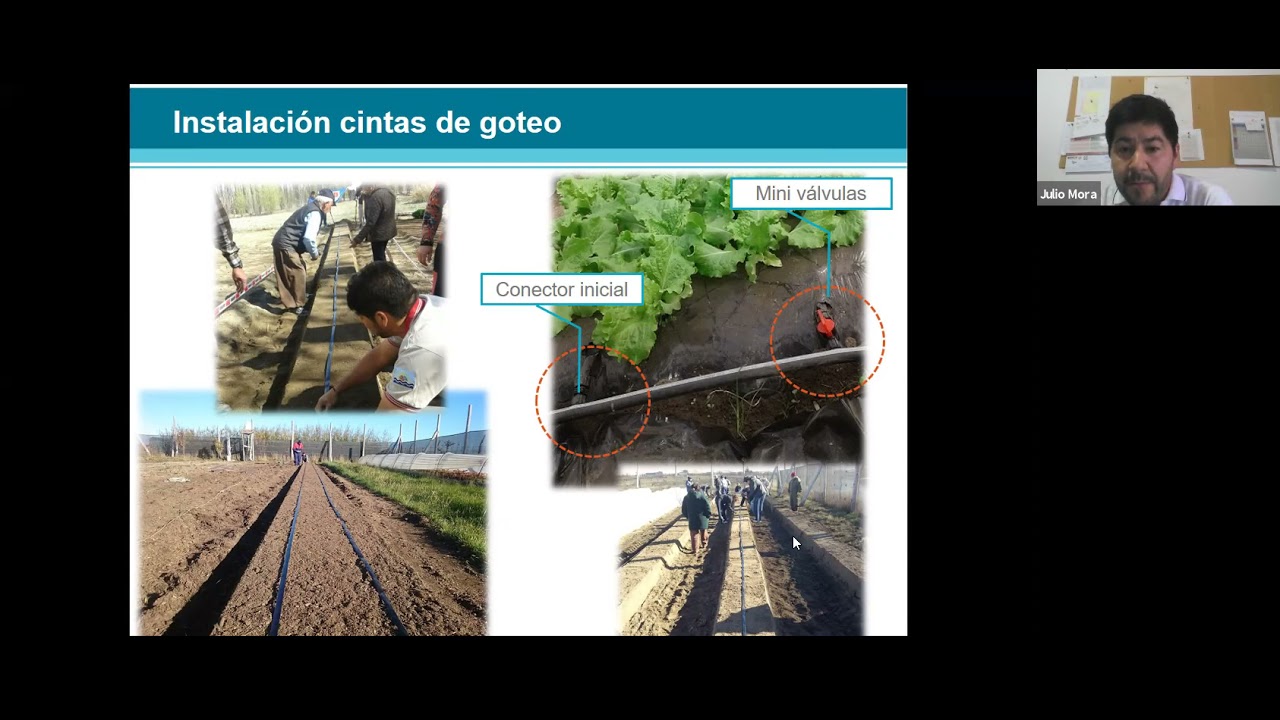Construcci&oacute;n de microt&uacute;neles: paso a paso para su instalaci&oacute;n.