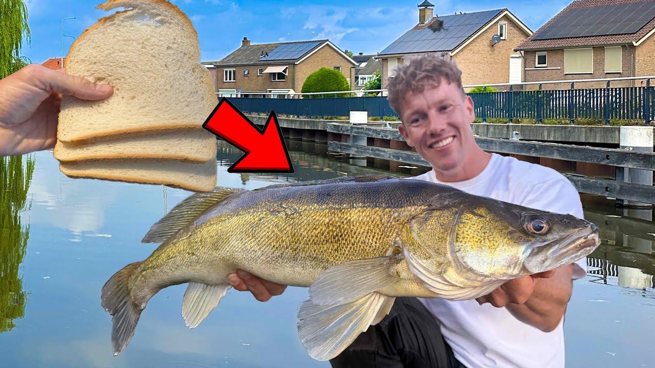 DE GOEDKOOPSTE MANIER OM SNOEKBAARS TE VANGEN!!🎣
